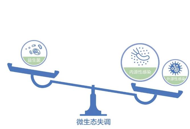 春節(jié)長假“護(hù)腸”的正確方式