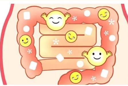 益生菌&乳鐵蛋白，完美護腸搭檔，增強免疫力，為寶寶健康保駕護航！